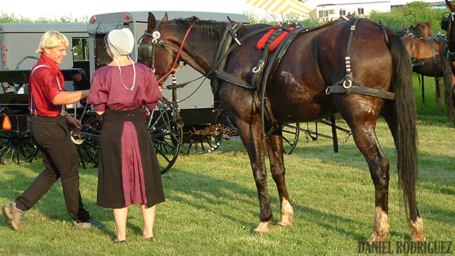 Rumspringa | Amish Studies