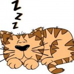 cartoon drawing of sleeping cat with zzz over its head