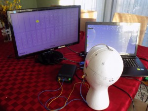 Styrofoam head with EEG wires on it and wires attached to laptop computer