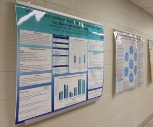 Sample posters for presentations